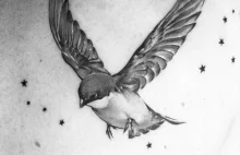 Ptasie tatuaże, czyli kilka słów o symbolice ptaków