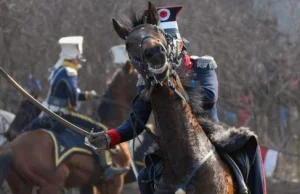 Sejm: będzie uchwała dziękująca koniom