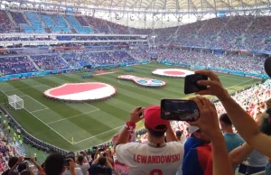 Zobacz bramkę z meczu Polska – Japonia z perspektywy kibica z Rosji