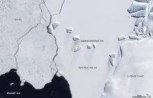 NASA zaobserwowała odchody pingwinów widoczne z kosmosu