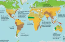 What the world will look like 4°C warmer