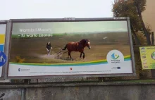 Urzędnicy z Warmii i Mazur nominowani za najgorszego mema