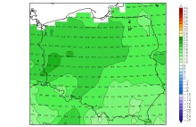 Noce tropikalne (w Polsce)