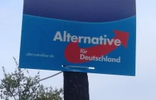 Niemcy: Spór w AfD - dwóch polityków pobiło się w toalecie?