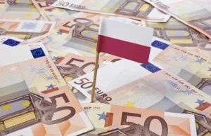 Polska i Czechy najmniej skorzystają na przyjęciu euro