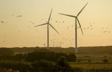Polska pozwana na ponad 2,5 mld zł. Odszkodowanie za prąd z wiatraków
