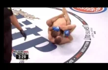 Marcin Held vs Alexander Sarnavskiy Bellator 136 Cała Walka