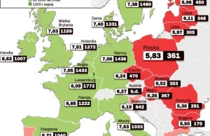 Ceny paliw w Polsce niskie, lecz drogie jak na polską kieszeń