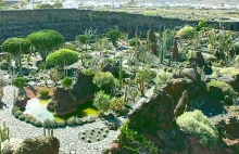 Ogród Kaktusów na Lanzarote - Najbardziej przykuwająca atrakcja na wyspie!