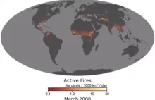 Pożary na świecie w ostatnich 20 latach.