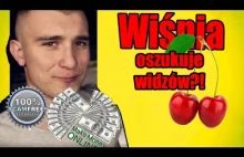 Youtuber z pół milionowym zasięgiem reklamuje strone wyłudzająca dane !