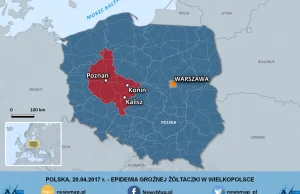 Epidemia groźnej żółtaczki w Wielkopolsce