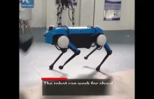 Chińska podróbka robota Boston Dynamics