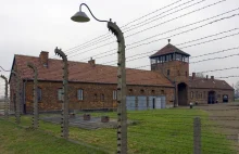 Niemiecki polityk wytatuował sobie kontury obozu koncentracyjnego