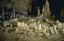 Neandertalczycy zbudowali tajemnicze podziemne kręgi 175 tys. lat temu. [ENG]