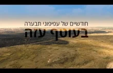 Latawce Mołotowa i skutki ich użycia - Izrael