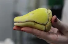 Nowoczesne protezy dla zwierząt - dziób dla gęsi z drukarki 3D. •