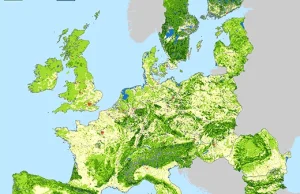 Wycinkowa histeria. A prawda jest taka, że lasów w Polsce przybywa...