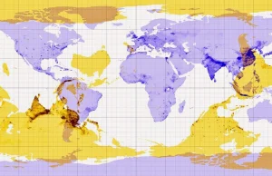 Mapa pokazująca gdzie się znajdziesz jeśli będziesz kopał bez przerwy w dół