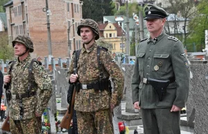 Wjatrowycz: symbolika SS Galizien nie podlega zakazowi propagowania nazizmu