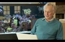 Richard Dawkins czyta listy od przeciwników teorii ewolucji