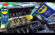 Can You Use WD-40 as ENGINE...