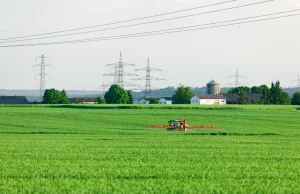 Rolnicy są ścigani za pozostawienie ziarna ze zbiorów do zasiewów