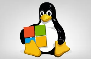 Microsoft dołączył do Linux Foundation