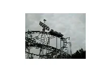 Zardzewiały Rollercoaster