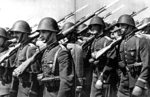 Wojsko Polskie II RP – unifikacja uzbrojenia strzeleckiego