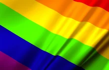 Na szybko o LGBT i średniowieczu | Marcin Królik