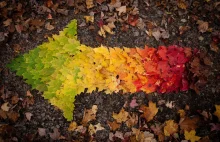 Fotografie, które stały się symbolami jesieni w internecie
