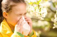Katar sienny: naturalne sposoby leczenia sezonowych objawów alergii