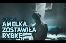 Amelka zostawiła rybkę