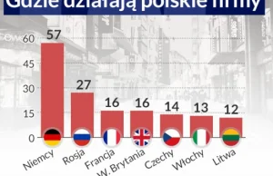 W ciągu dekady polskie spółki przejęły za granicą kilkaset firm