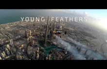 Jetman Dubai : Young Feathers 4K