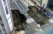 Lej krasowy na jednej z głównych ulic Fukuoka w Japonii.