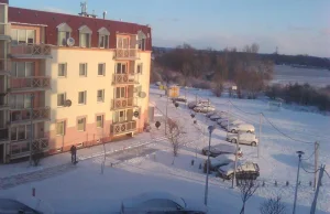 Bydgoszcz: Burza śnieżna w bydgoskim Fordonie. Pies fruwał nad ziemią...
