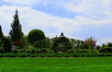 “Arboretum w Wojsławicach”