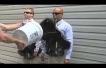 The SECOND Official Ultra-Ever Dry Video - Superhydrophobic coating -...
