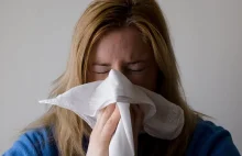 Ogromna liczba zachorowań na grypę! W tym sezonie może paść rekord |...