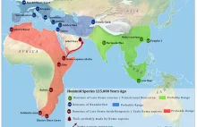 Atlas ewolucji człowieka