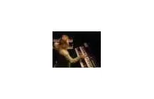 Rick Wakeman - Awesome piano solo