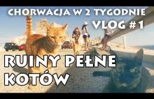 Ruiny pełne KOTÓW! - Chorwacja w 2 tygodnie - Vlog #1