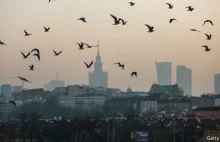 Dlaczego 33 z 50 najbardziej zanieczyszczonych miast Europy jest w Polsce