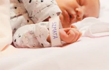 HejtStop podpisuje noworodki: Śmieć, pedał, brudas