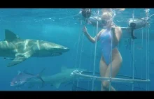 Kobieta zostaje zaatakowana przez rekina u wybrzeży Florydy