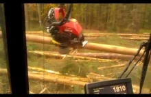 Wycinka za pomocą maszyny leśnej typu harvester