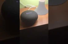 Prawdopodobnie pierwszy Google Home gadający po polsku.