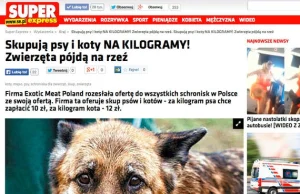 Wielka afera ze skupowaniem z psów i kotów na kg to prowokacja